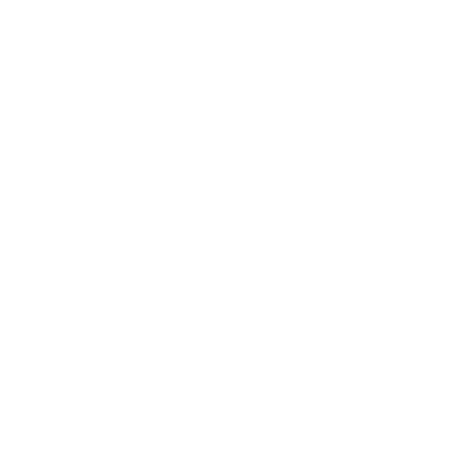 MORNING STAR ELECTRIC CORPORATION